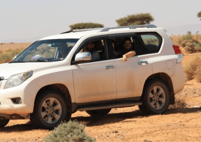 merzouga day trip safsaf oasis
