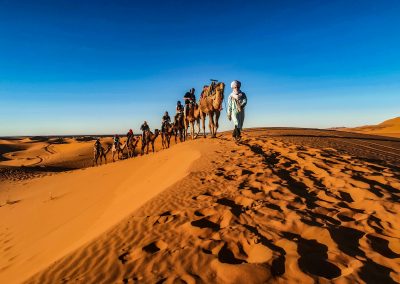 Ouarzazate to Marrakech 5 Days Desert Tour