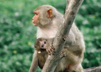 Ouarzazate to Fes 4 Days Desert Tour