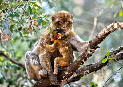 Errachidia to Fes 3 Days Desert Tour