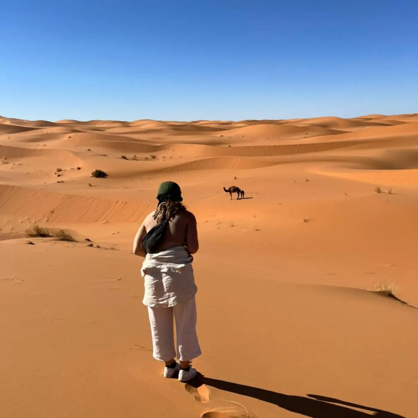 Camping Salvaje Nocturno en el Desierto de Merzouga