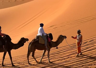 day and night camel trek in merzouga
