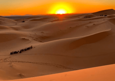 Untitled design 2025 12 13T163956.861 3 Morocco Desert Safari / Travel Company