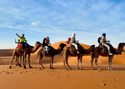 Untitled design 2025 12 13T164332.559 3 Morocco Desert Safari / Travel Company