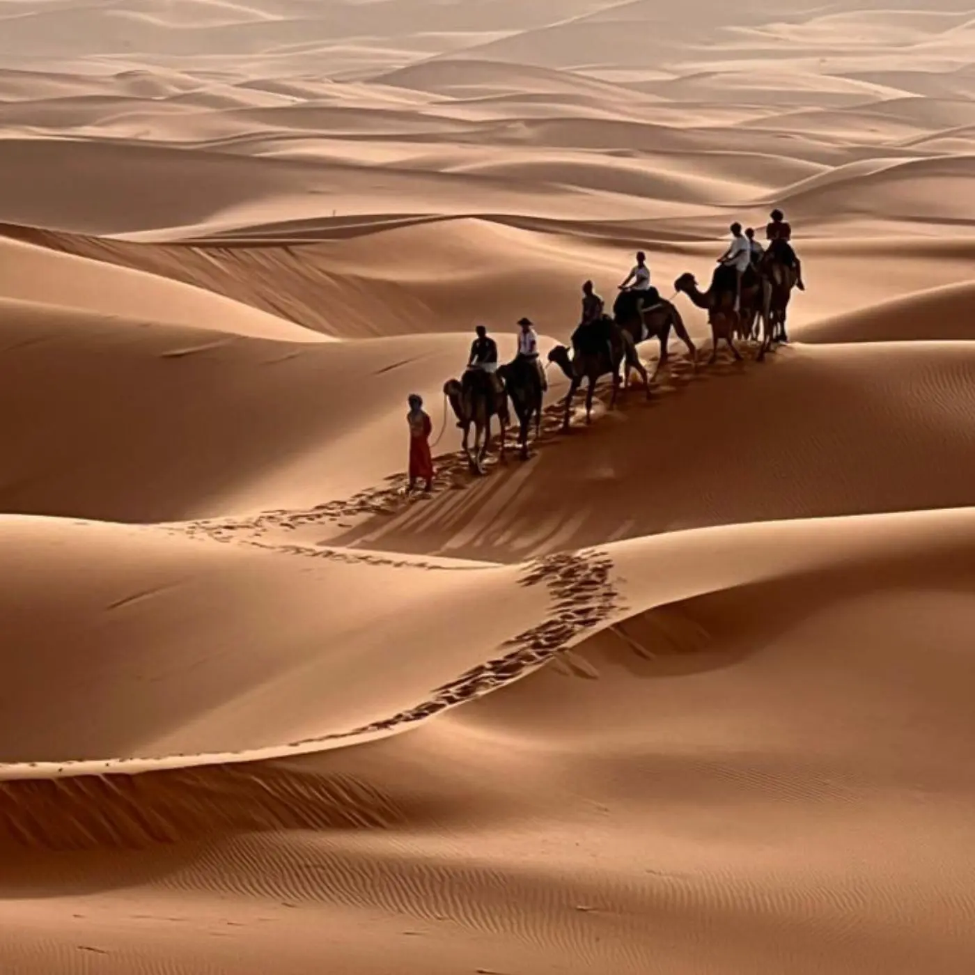 Campamento de lujo en el desierto de Merzouga