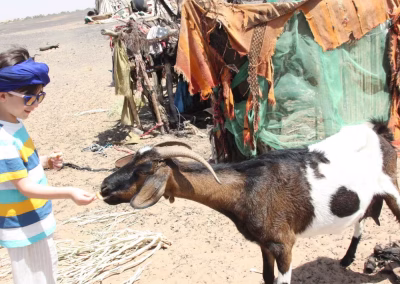 merzouga day trip safsaf oasis