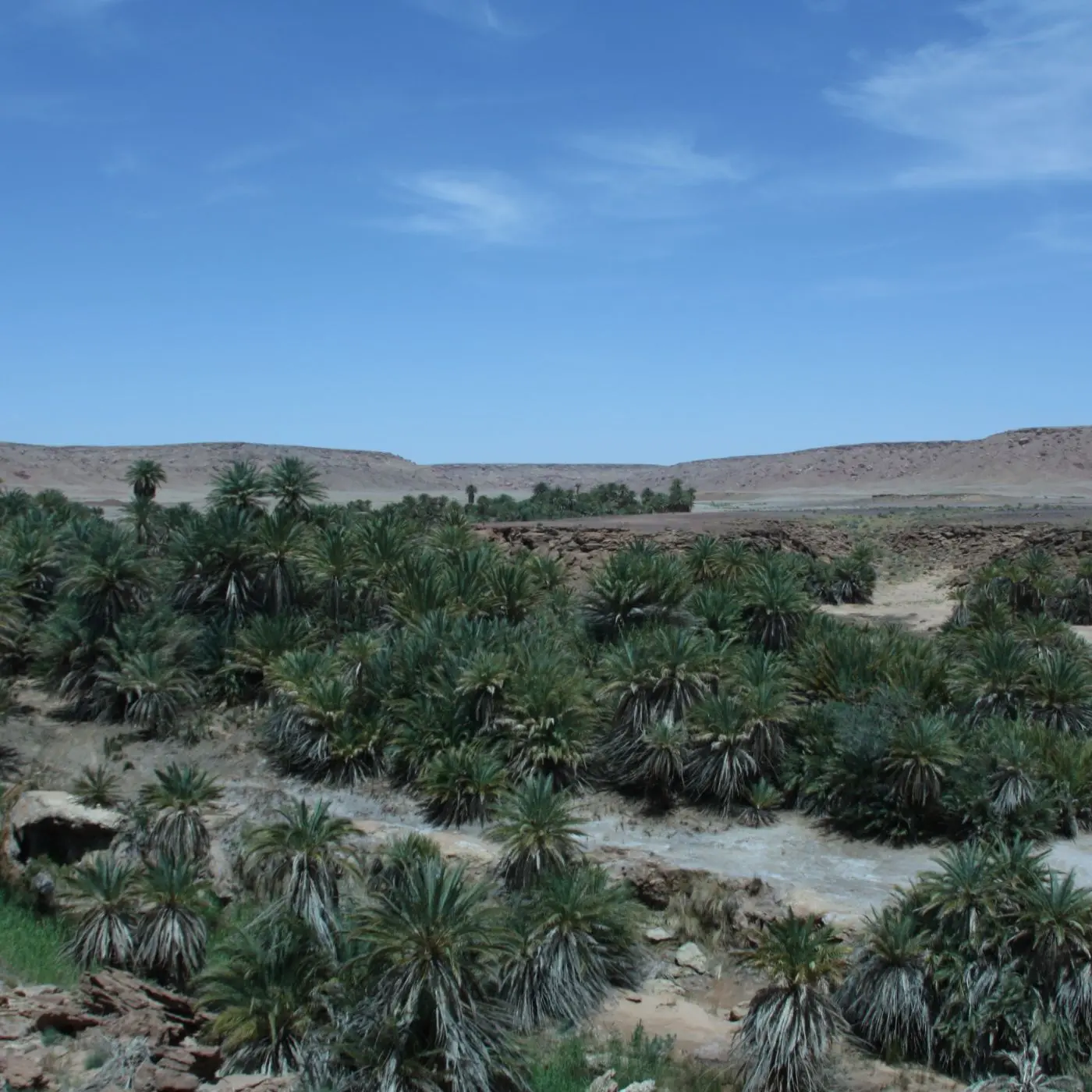 Excursión de un día a Merzouga al oasis de Safsaf