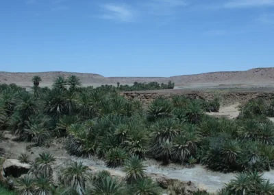 Excursión de un día a Merzouga al oasis de Safsaf