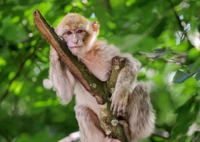 Errachidia to Fes 3 Days Desert Tour