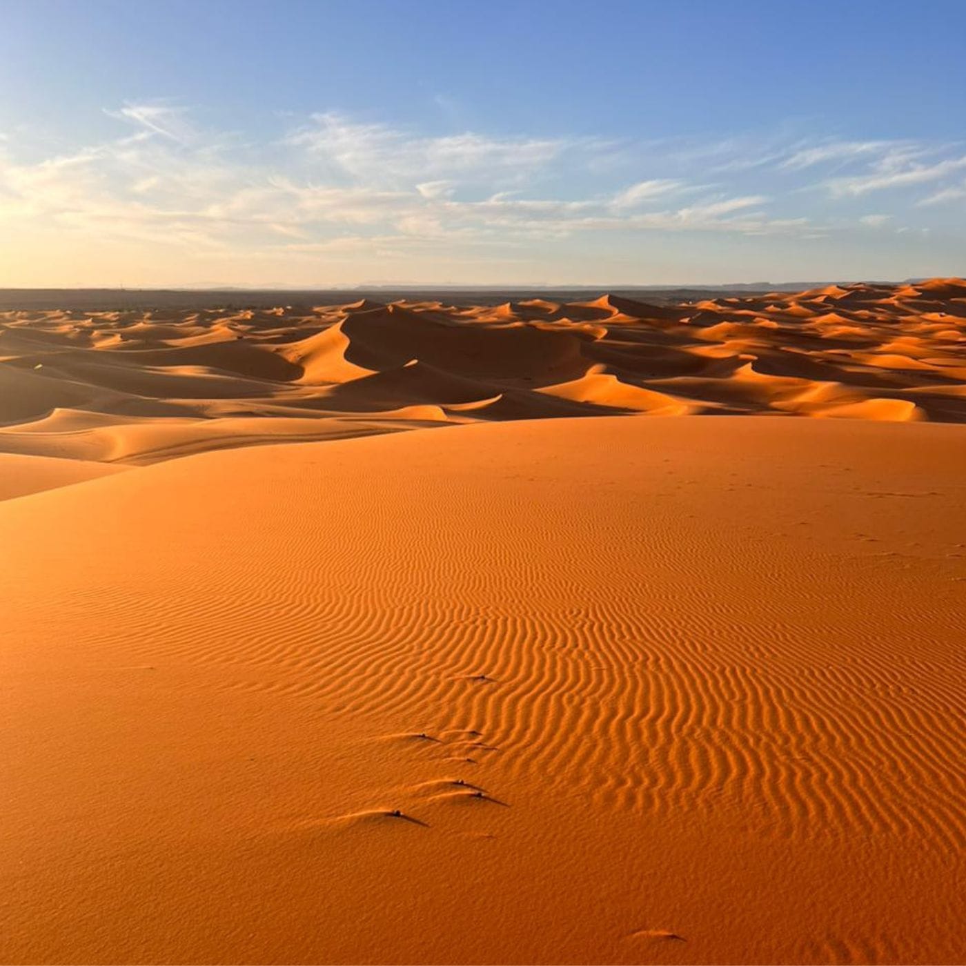 Errachidia a Fez 3 dias desierto tour