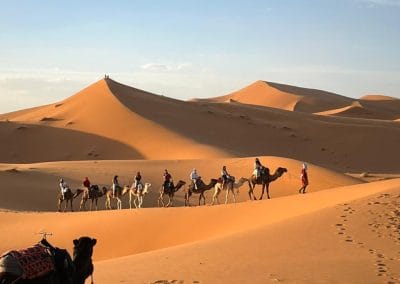 WhatsApp Image 2025 12 13 at 16.31.57 Morocco Desert Safari / Travel Company