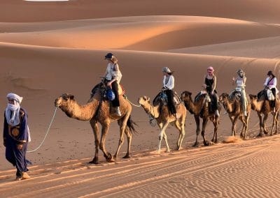 WhatsApp Image 2025 12 13 at 16.31.58 4 Morocco Desert Safari / Travel Company