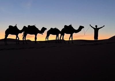 merzouga camello atardecer paseo
