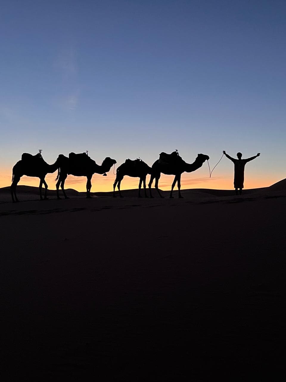 merzouga camello atardecer paseo