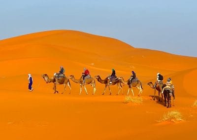 merzouga desierto tours