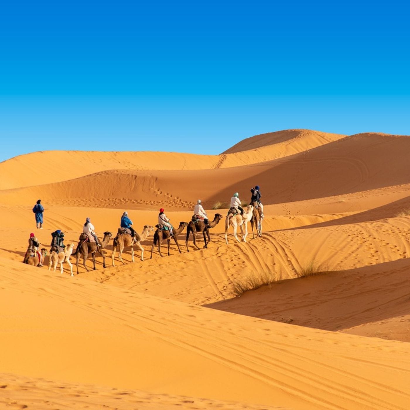 3 dias desde Fez a Merzouga y Marrakech