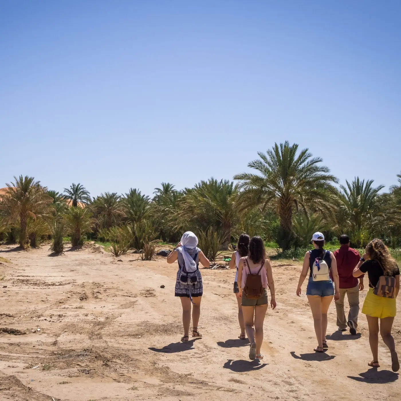 tour de 6 dias por las kasbahs de Marruecos desde Fez 