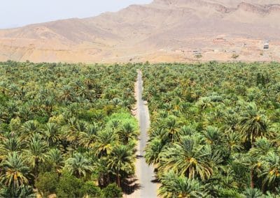2 day desert tour from marrakech to zagora