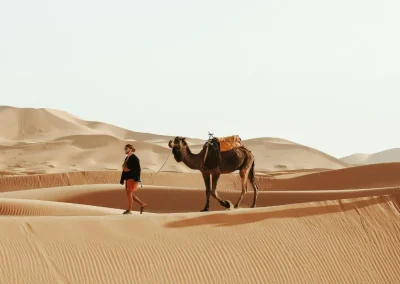 morocco desert safari