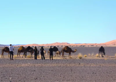 4 day tour from fes to desert and Marrakech