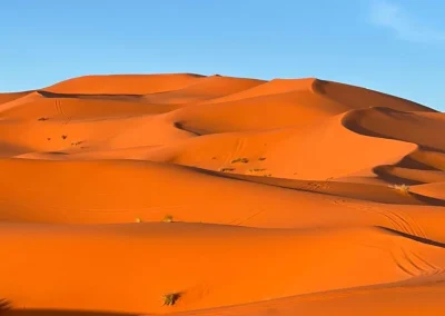 morocco sahara desert tours