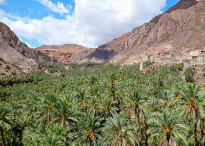 6 day morocco kasbah tour from fes