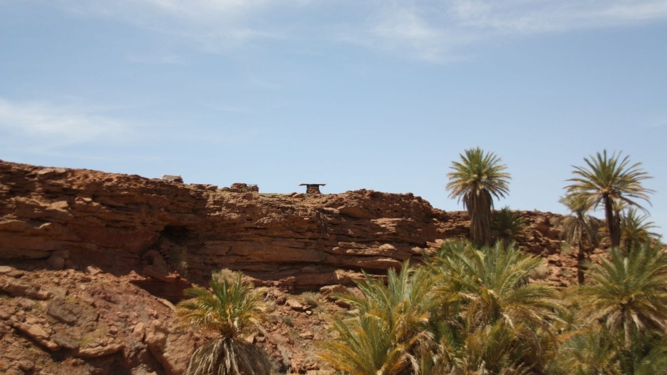 Excursion de un dia al oasis de Safsaf desde Merzouga Excursion de un dia al oasis de Safsaf desde Merzouga