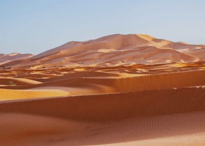 merzouga desierto tours