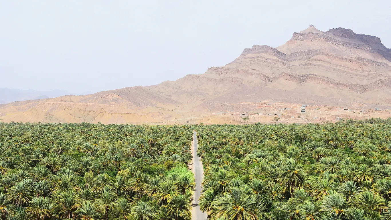 Tour de 3 días por el desierto desde Ouarzazate a Merzouga Tour de 3 días por el desierto desde Ouarzazate a Merzouga