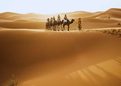 7 Dias de Tanger a Marrakech Tours por el Sahara