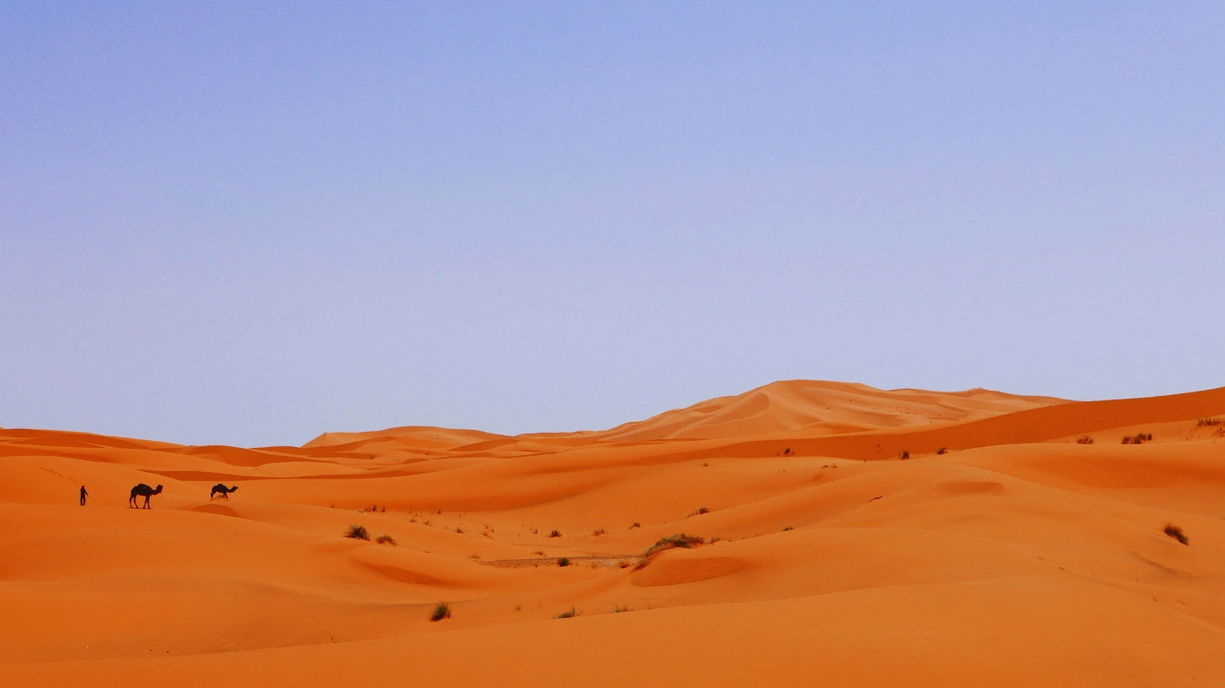 tour privado de 5 dias a marruecos desde Casablanca tour privado de 5 dias a marruecos desde Casablanca