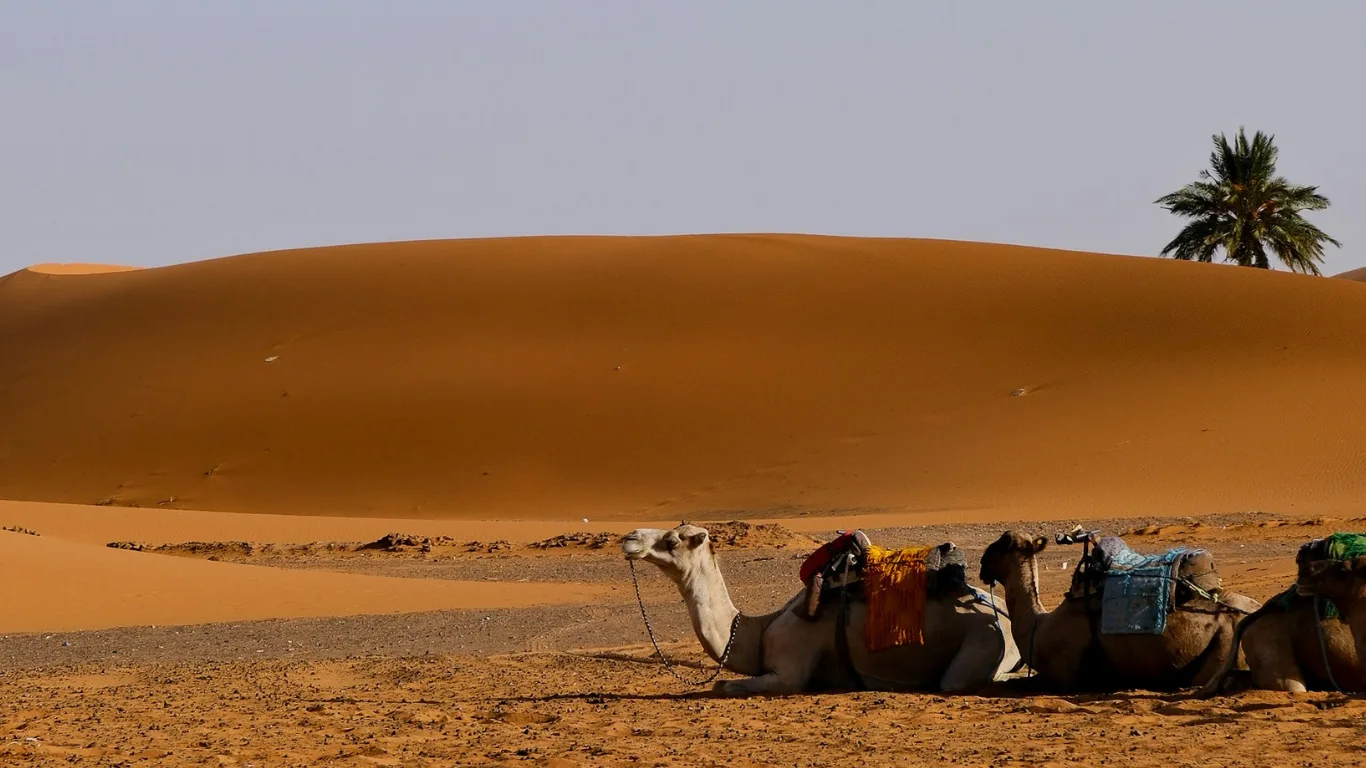 Tour de 9 Dias por Marruecos desde Casablanca Tour de 9 Dias por Marruecos desde Casablanca