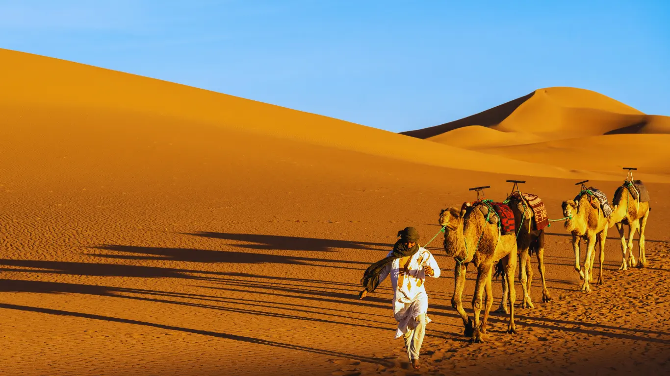 tour de 6 dias por las kasbahs de Marruecos desde Fez tour de 6 dias por las kasbahs de Marruecos desde Fez