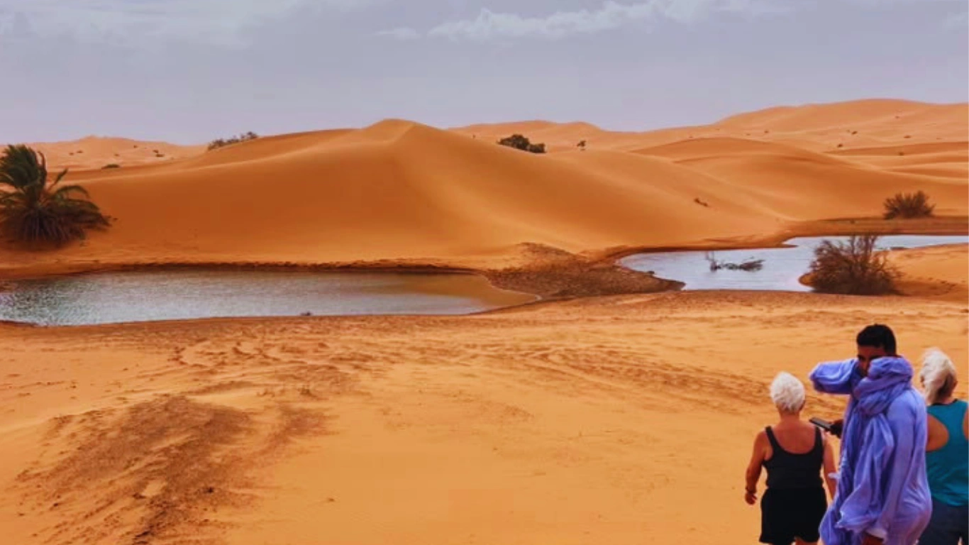 4 dias desde Fez al desierto y Marrakech 4 dias desde Fez al desierto y Marrakech
