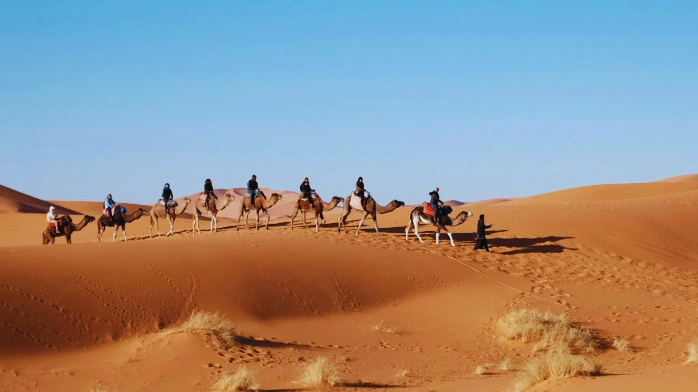 4 dias desde Fez al desierto y Marrakech 4 dias desde Fez al desierto y Marrakech