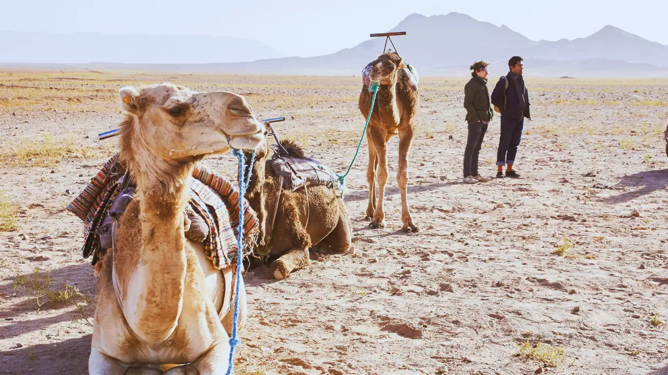 tour de 2 dias al desierto desde Marrakech tour de 2 dias al desierto desde Marrakech
