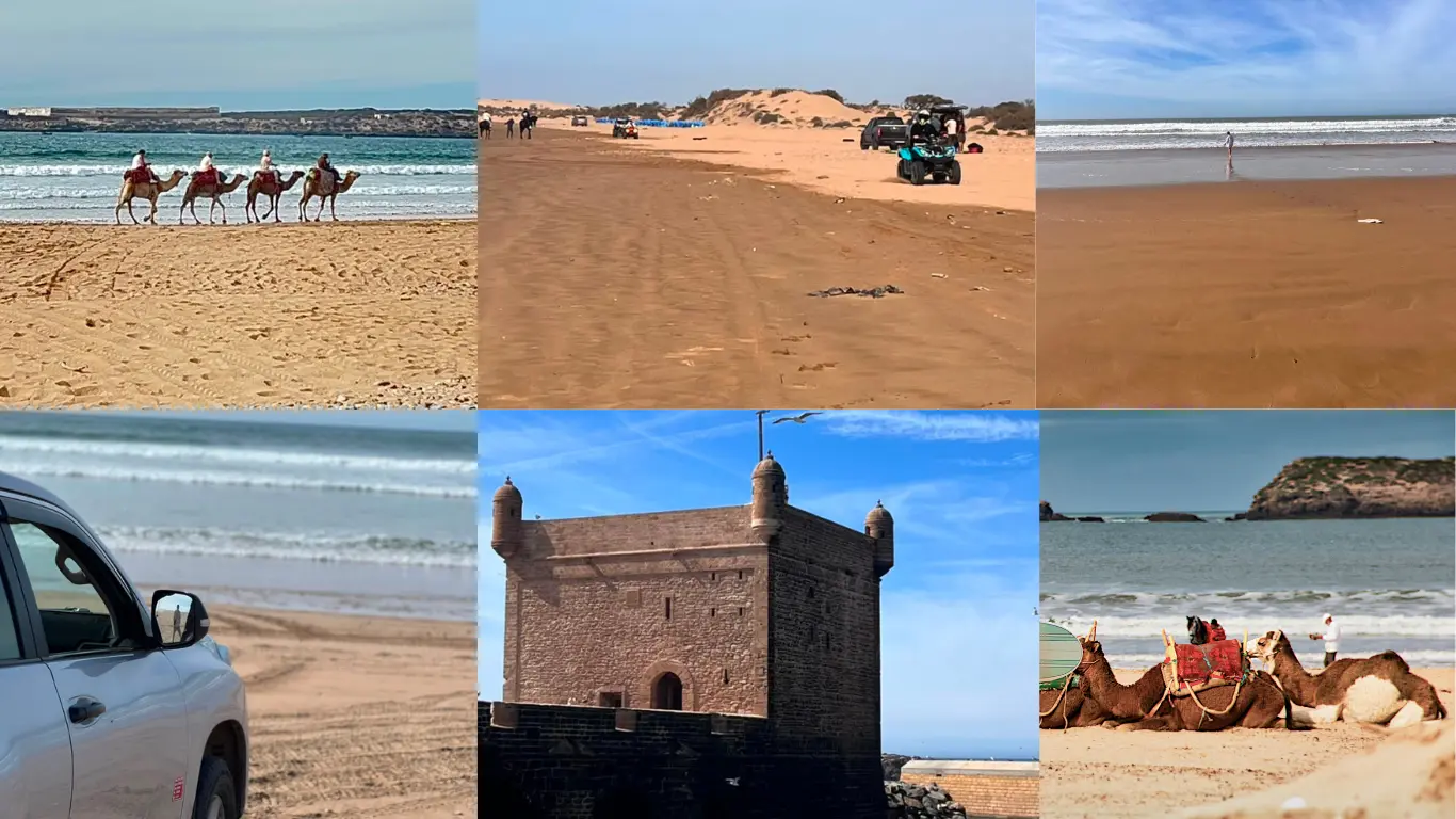 Explore Essaouira Morocco Travel Destination with local experts. Discover the medina, beaches, surfing, and unforgettable Morocco Sahara Desert Tours. Explore Essaouira Morocco Travel Destination with local experts. Discover the medina, beaches, surfing, and unforgettable Morocco Sahara Desert Tours.