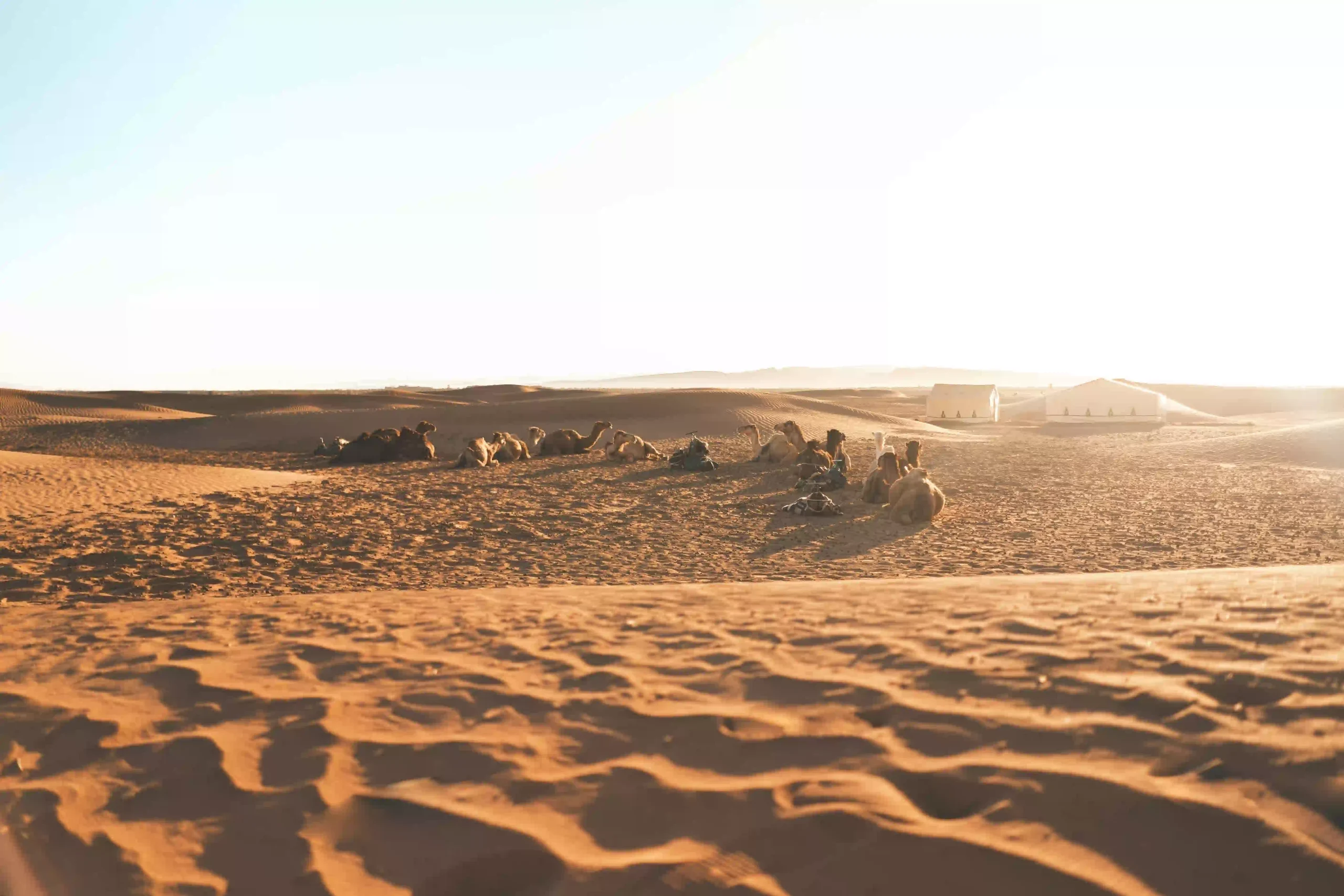 Visit Morocco Sahara Desert Visit Morocco Sahara Desert